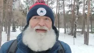 помощь пернатым и мохнатым в морозы.