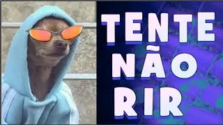 Tente não rir  - NÍVEL HARD - Melhores Vídeos engraçados e memes 2020 \ Vamos nos divertir 😁