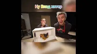 Влад А4. Что в коробке?