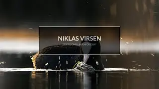 Fotograferar sothönor och vårens fåglar