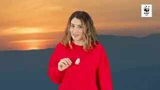 WWF-Türkiye /  Hareket