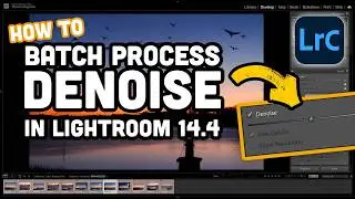 How To Batch Process Denoise in Lightroom Classic 14.4 (And Raw Details & Super resolution)