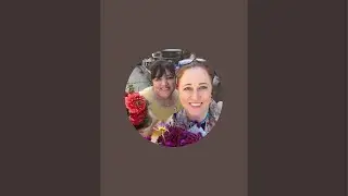Жизнь в Америке с Манушак и Татьяной is live!