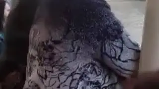 Вечерняя прогулка