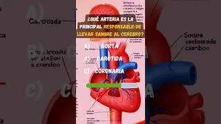 🤔¿Cuánto Sabes? Cultura General Trivia 🅰️🆚️🅱️ #quiz #trivia #shorts #ytshorts #viral #trending #vs