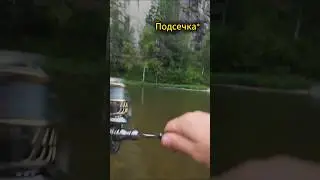 Первый и такой КРУПНЫЙ… #рыбалка #тайга #хариус
