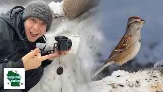 We Made A Bird Photography Blind Out Of Snow! Here's What Happened…