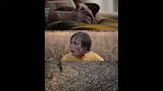 the cinematography of Dark #short_video #dark  #netflix