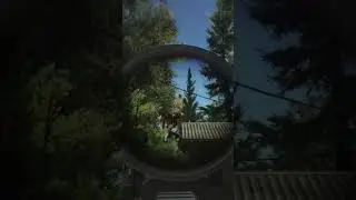 Telnik on Roof?