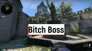 CS:GO Montage |Doja Cat - Boss Bitch|
