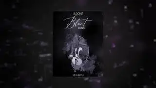 BLENT SERIES - Vol 1-5 Snapshots Showcase