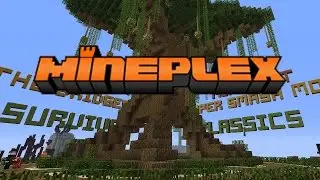 MINECRAFT PC: WORLDS BEST SERVER!