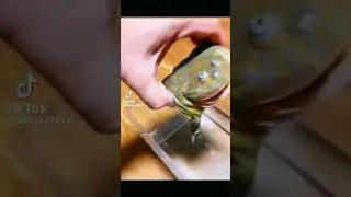 froggo underwater scream