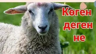 Көген деген не