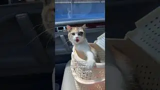 Will you also turn away from us in disgust?💔
