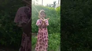 bangaram ha video