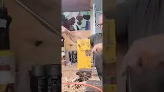 Butternut Special Ram (warning no sound)