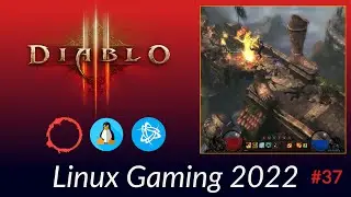 👹 Diablo III 🗡 - 2022 Linux Gaming (#37)
