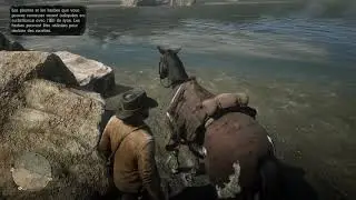 Read Dead Redemption II