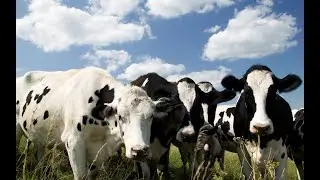 ➤