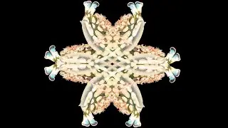 Create a kaleidoscope image with Jenny Stock
