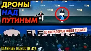 Какая ламповая атмосфера на Петербургском Международном Экономическом Форуме