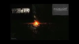 БЕЗСМЕРТНЫЕ ДИКИЕ на ТАМОЖНЕ • Escape from Tarkov • Хайлайты