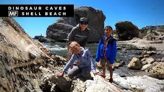 Exploring the Dinosaur Caves at Pismo Beach VLOG