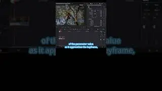Smooth Flow Mastering Keyframes in DaVinci Resolve