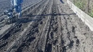 Прополка огорода культиватором