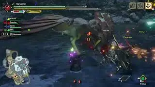 【Monster Hunter Rise】Farming Stuffs