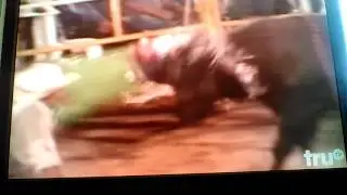 Man killed by bull