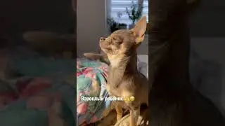 С днём защиты детей! 🥰🫶🏼