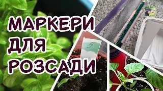 Позначки-маркери для розсади. Легко своїми руками| Агро-Рокся