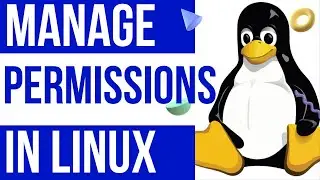 How To Manage Permissions | how to change file permissions | read write execute permissions In Linux