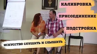 Искусство слушать и слышать  Калибровка  Подстройка  Присоединение | Снежана Лунгу