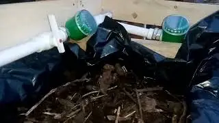 вегетарий на урале# щепа как дренаж.