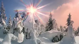 Как красиво! Невероятно сказочная зима и Нежность красивой музыки! До слез красивая мелодия!!! #1