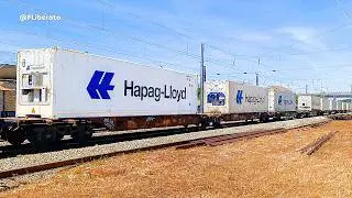 Locomotiva MEDWAY 5621 comboio de contentores FRIGORÍFICOS