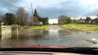 Puddles in the Ranchos!