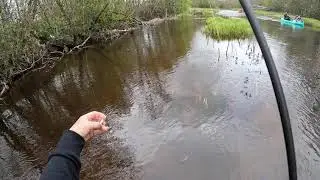 Декілька хвилин про форелеву річку.