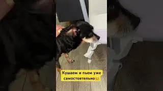 Мамкин сыночек❤️ 