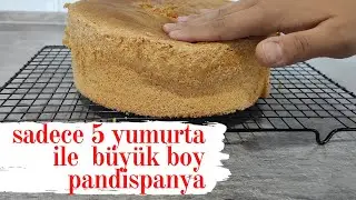 PANDİSPANYA TARİFİ PÜF NOKTALARI İLE SADECE 5 YUMURTA İLE BÜYÜK BOY YUMUŞAK PANDİSPANYA TARİFİ