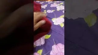 NICOLE NÃO GOSTA QUE TOQUEM NA CABEÇA #cachorra #nicole #pet