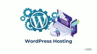 DaManager Web Hosting Solutions