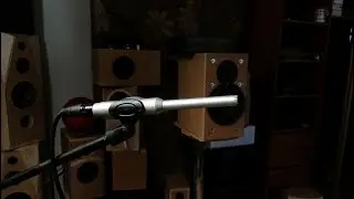 Почему колонки с одинаковой АЧХ могут звучать по разному? Стрим с Даниилом Самигуллиным!