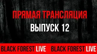 BLACK FOREST LIVE. ПРЯМАЯ ТРАНСЛЯЦИЯ № 12