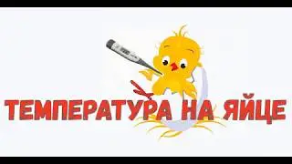 Дополнительный датчик на яйцо