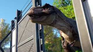 T- rex Hunting And Vs All Dinosaur - Jurassic World Evolution 2