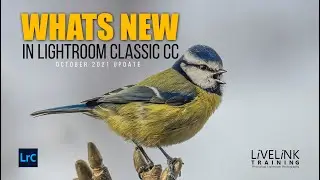 What's new in Lightroom Classic CC October 2021 Update
